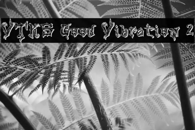 VTKS Good Vibration 2 Caratteri examples