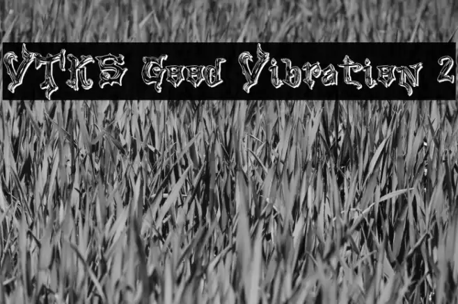 VTKS Good Vibration 2 Caratteri examples