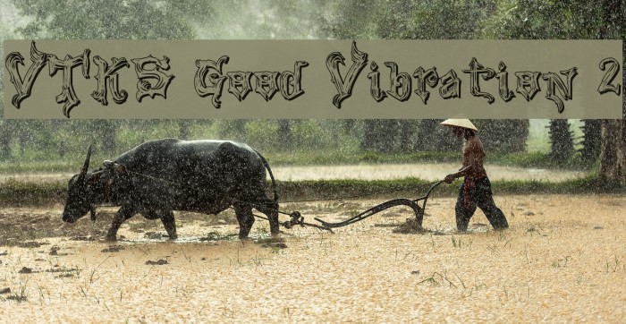 VTKS Good Vibration 2 Example 3