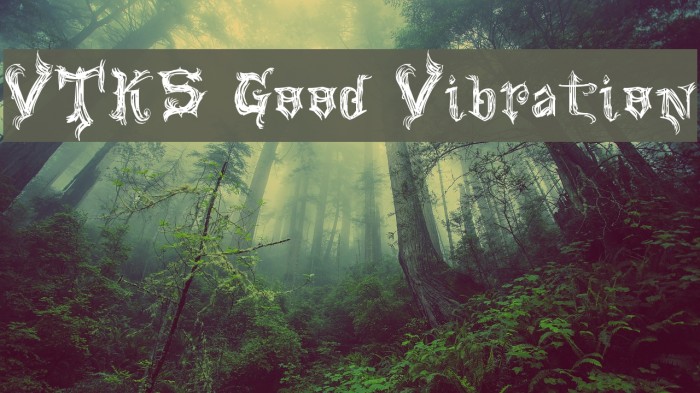 VTKS Good Vibration Font examples