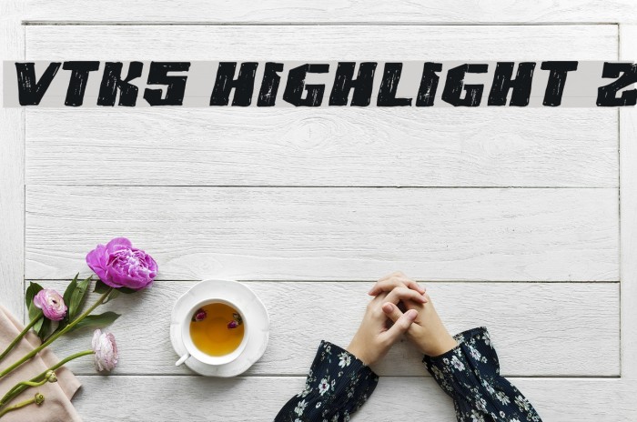 VTKS HIGHLIGHT 2 Example 2