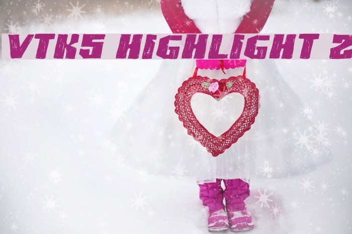 VTKS HIGHLIGHT 2 Example 3