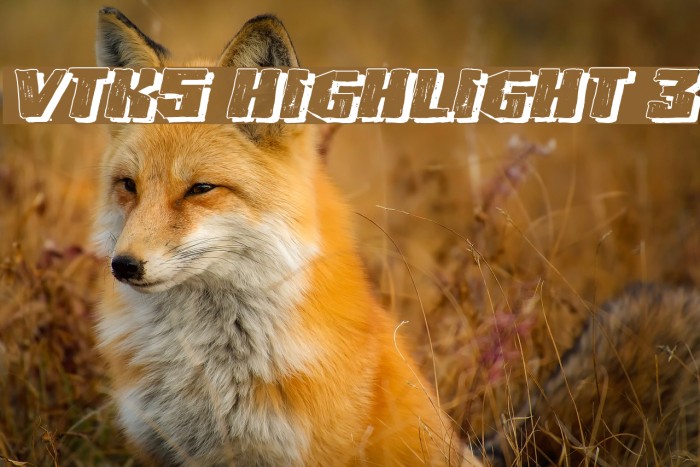 VTKS HIGHLIGHT 3 Font examples