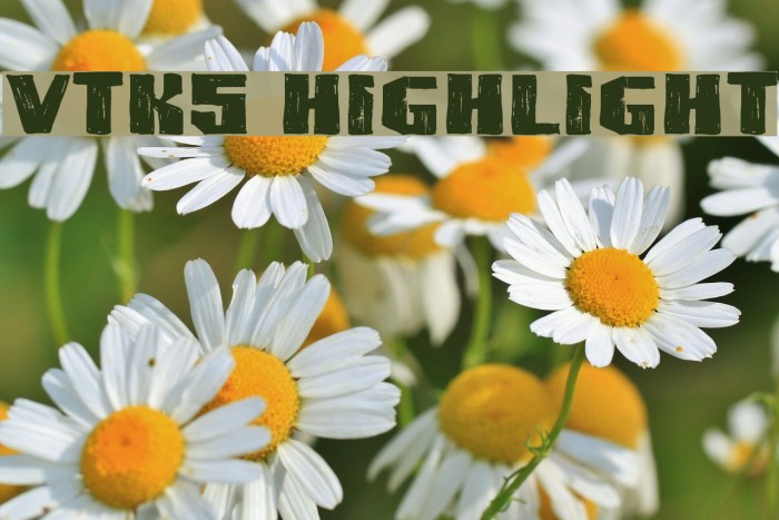 VTKS HIGHLIGHT Font examples
