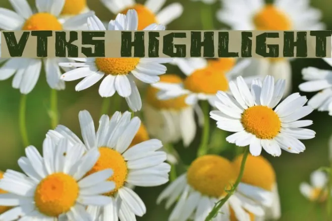 VTKS HIGHLIGHT Example 1