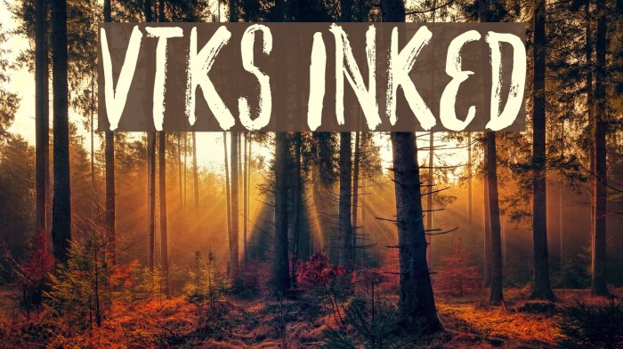 VTKS INKED Example 3