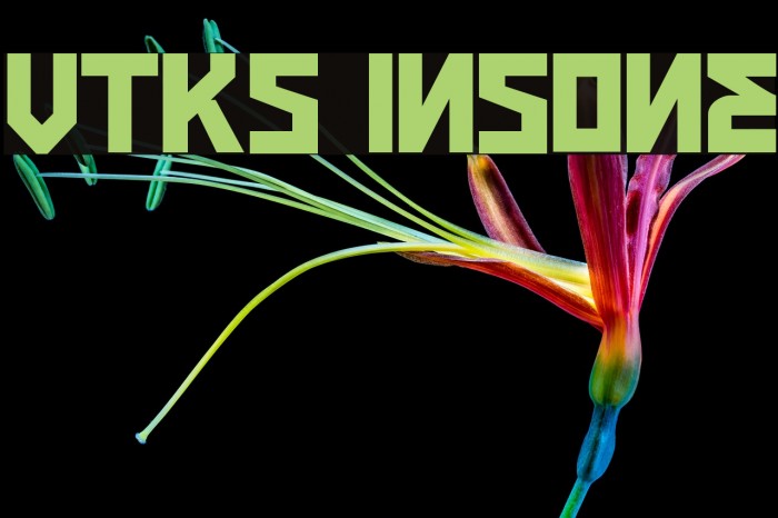 VTKS INSONE Fuentes examples