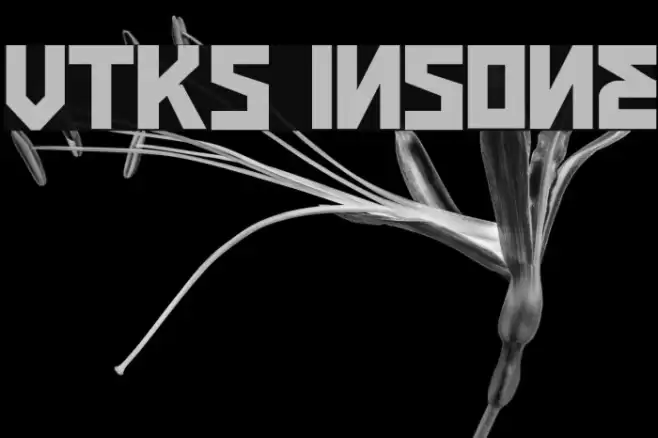 VTKS INSONE Font examples