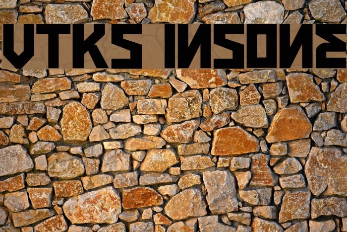 VTKS INSONE Fuentes examples