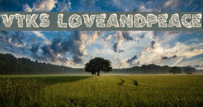 VTKS LOVEANDPEACE Example 3