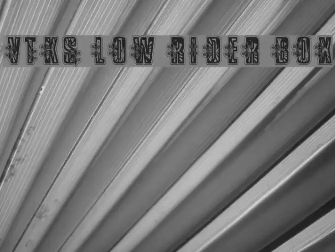 VTKS Low Rider Box Font examples