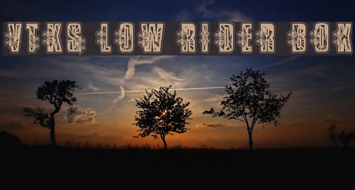 VTKS Low Rider Box Font examples