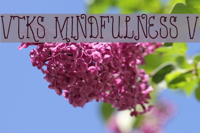 VTKS MINDFULNESS v2 Font examples
