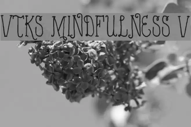 VTKS MINDFULNESS v2 フォント examples