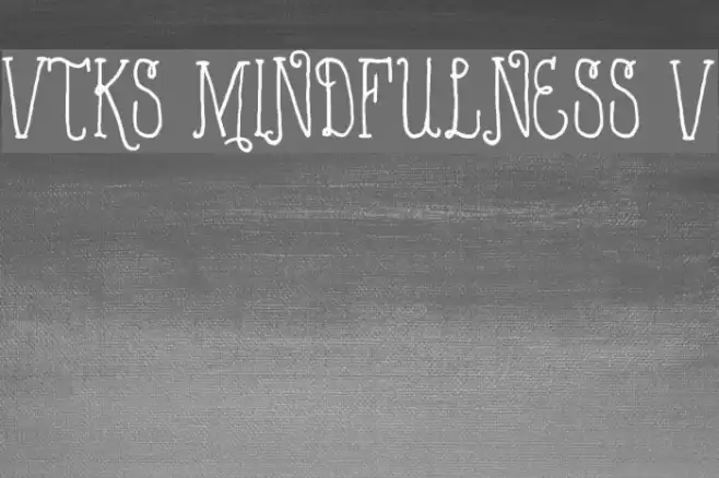 VTKS MINDFULNESS v2 フォント examples