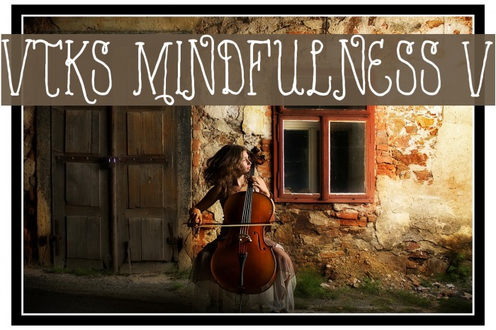 VTKS MINDFULNESS v2 Font examples