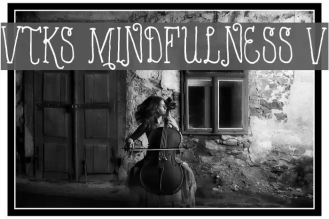 VTKS MINDFULNESS v2 フォント examples