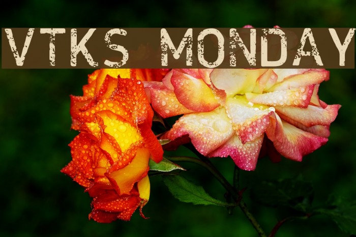 VTKS MONDAY Font examples
