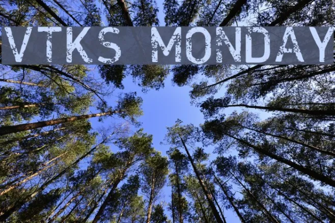 VTKS MONDAY Example 2
