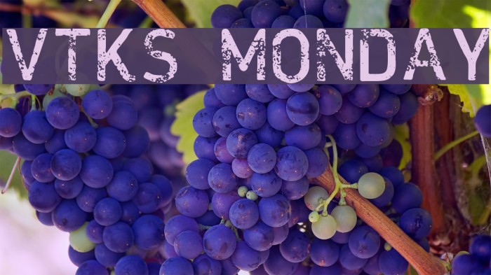 VTKS MONDAY Font examples