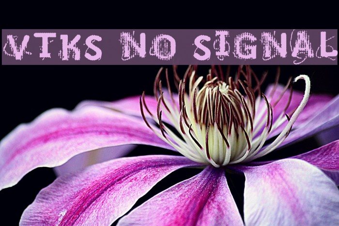 VTKS NO SIGNAL Font examples