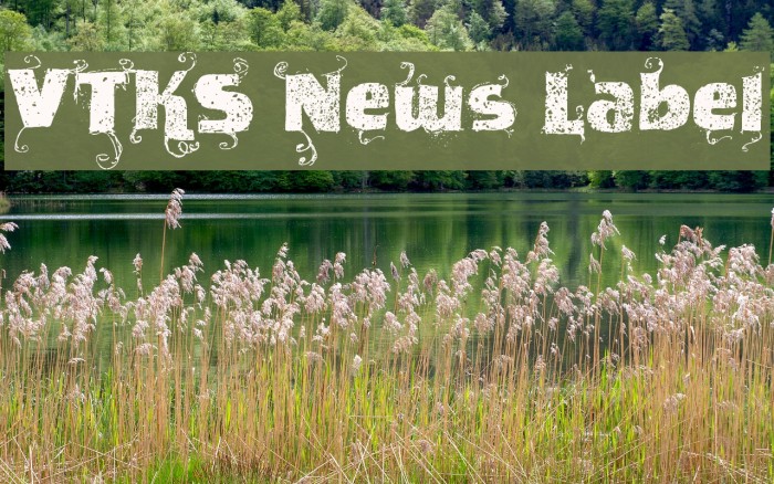 VTKS News Label Font examples