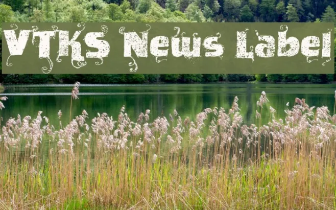 VTKS News Label Example 3