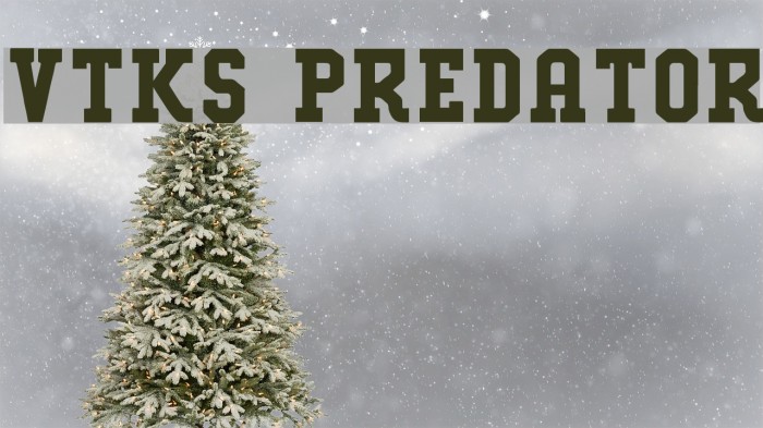 VTKS PREDATOR Font examples