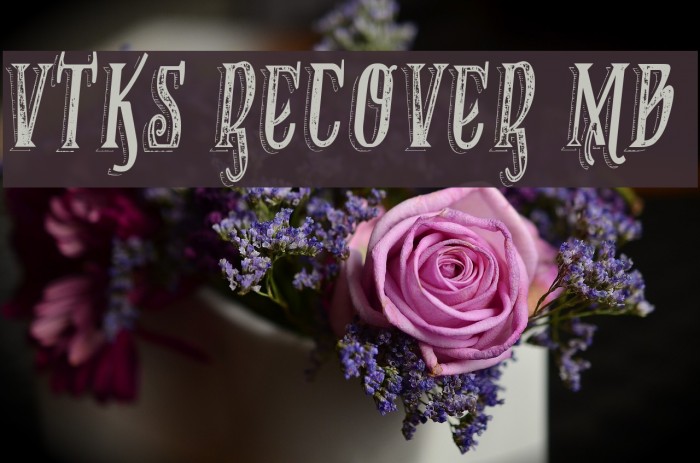 VTKS RECOVER MB 1 Font examples