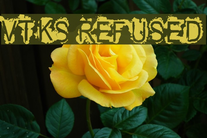 VTKS REFUSED Font examples