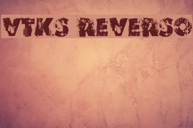 VTKS REVERSO Example 2