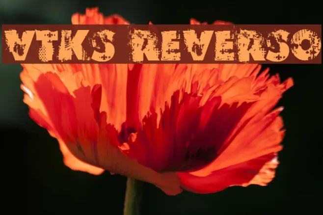 VTKS REVERSO Example 3
