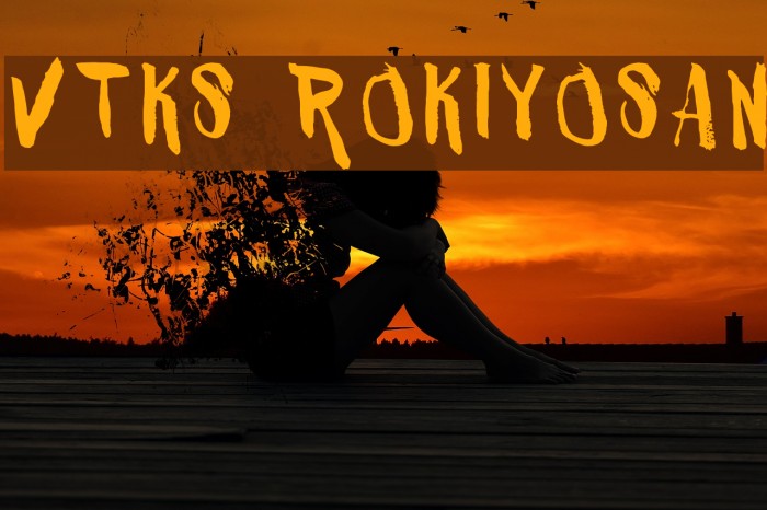 VTKS ROKIYOSAN Font examples