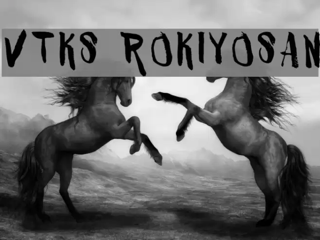 VTKS ROKIYOSAN Font examples