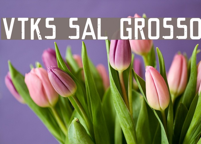 VTKS SAL GROSSO Font examples