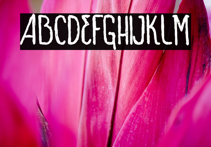 VTKS SIGN OF TIMES bold Font examples
