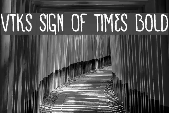 VTKS SIGN OF TIMES bold Font examples