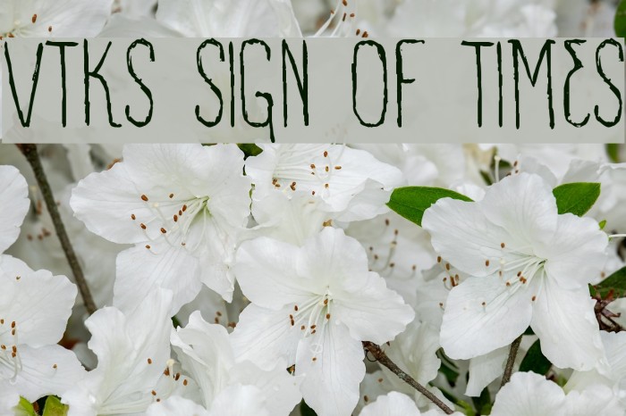 VTKS SIGN OF TIMES Example 2