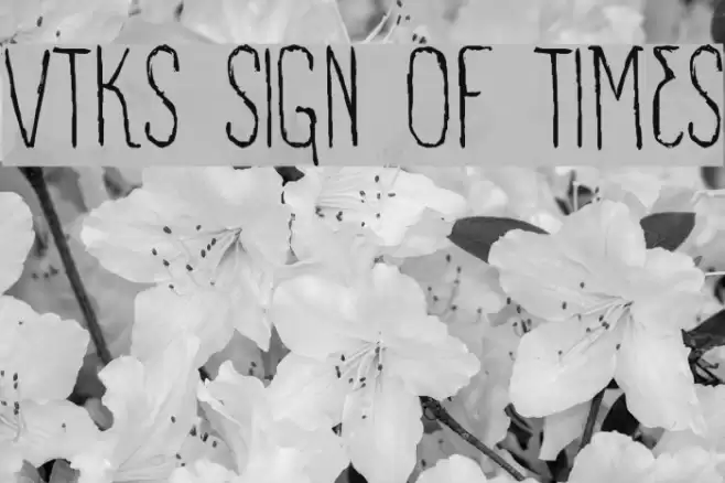 VTKS SIGN OF TIMES Font examples