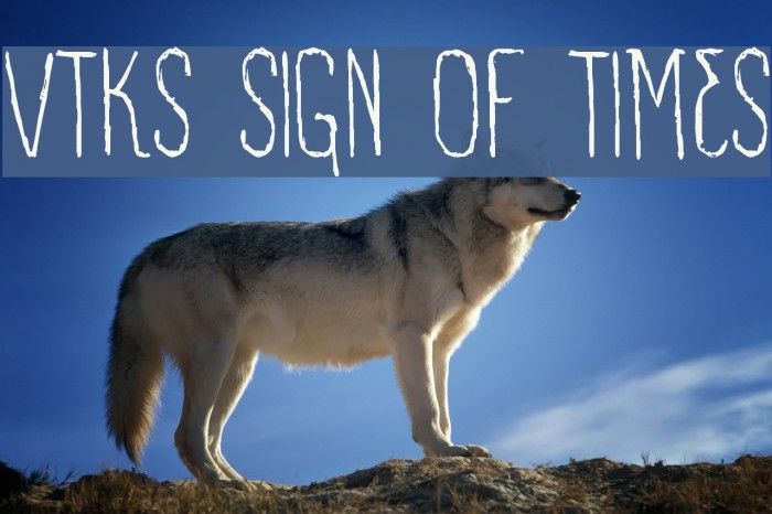 VTKS SIGN OF TIMES Example 3