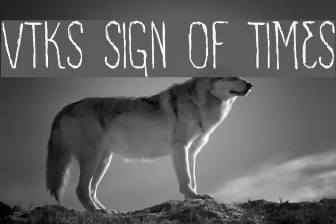 VTKS SIGN OF TIMES Font examples