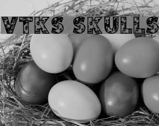 VTKS SKULLS フォント examples