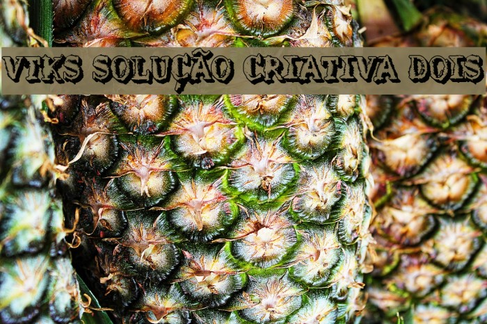 VTKS SOLUÇÃO CRIATIVA DOIS Font examples