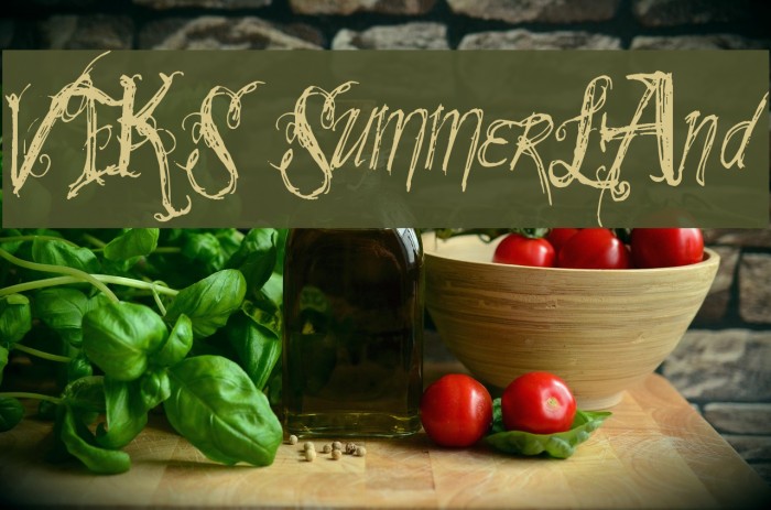 VTKS SummerLAnd Schriftart examples