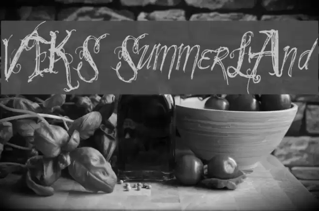 VTKS SummerLAnd Font examples