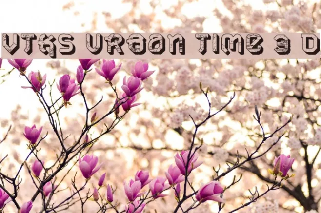 VTKS URBAN TIME 3 d Example 2
