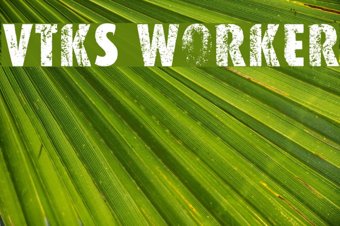 VTKS WORKER Font examples