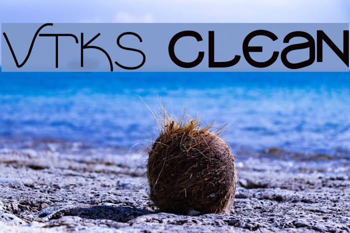 VTKS clean Polices examples