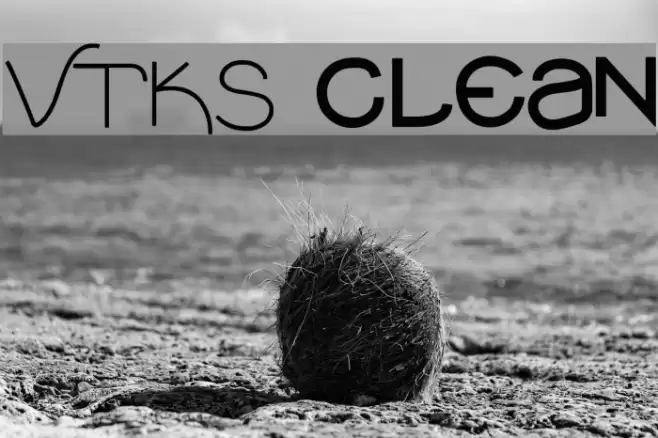 VTKS clean Schriftart examples