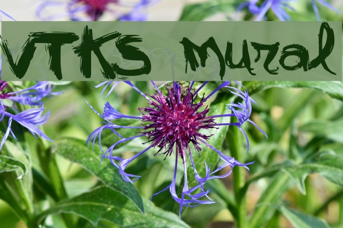 VTKS mural Font examples